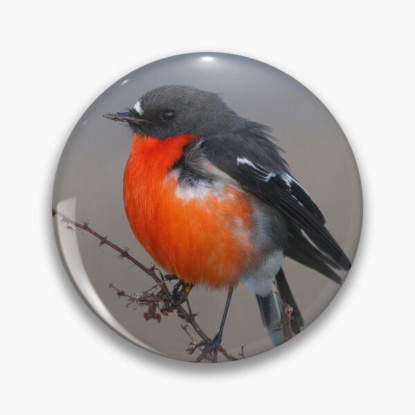 Item preview, Male Flame Robin designed and sold by scar.