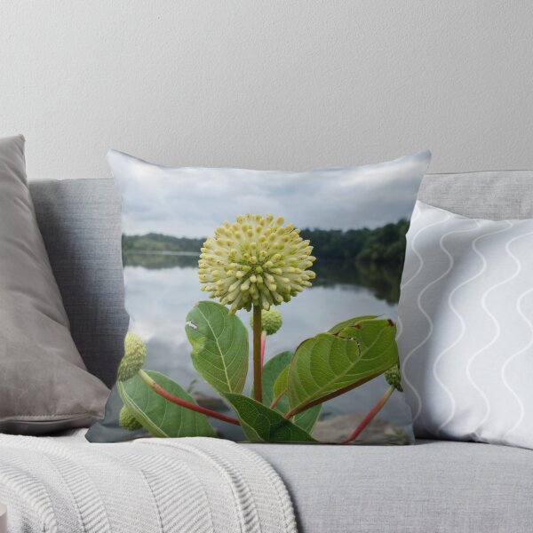 Artikelvorschau, Blume am See entworfen und verkauft von CSSphotos.