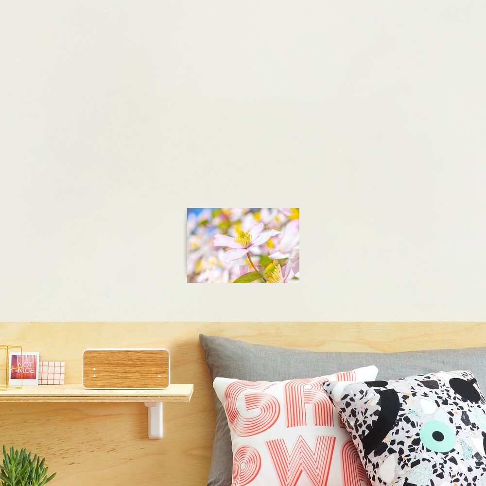 Item preview, Photographic Print designed and sold by Femaleform.