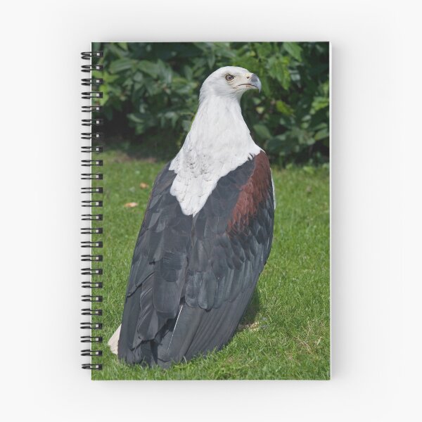 Item preview, African Fish Eagle designed and sold by Krys Bailey.