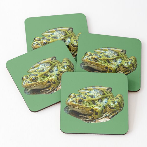 Item preview, Leopard Frog designed and sold by Dalyndigital Photography.