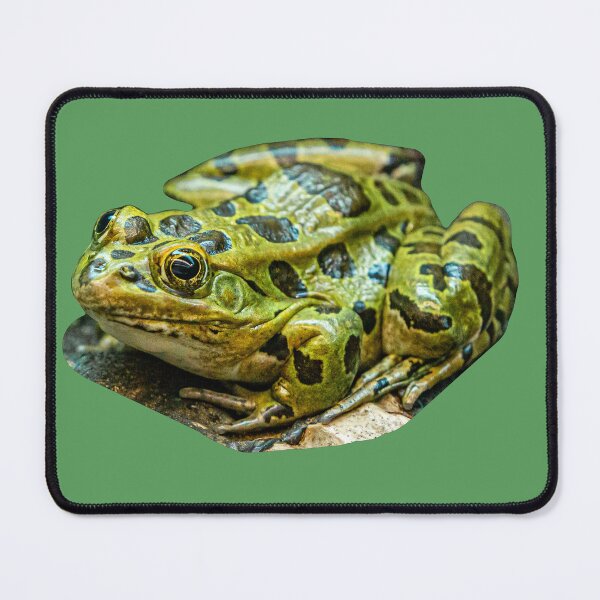 Item preview, Leopard Frog designed and sold by Dalyndigital Photography.