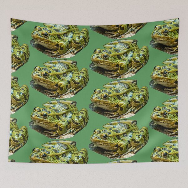 Item preview, Leopard Frog designed and sold by Dalyndigital Photography.