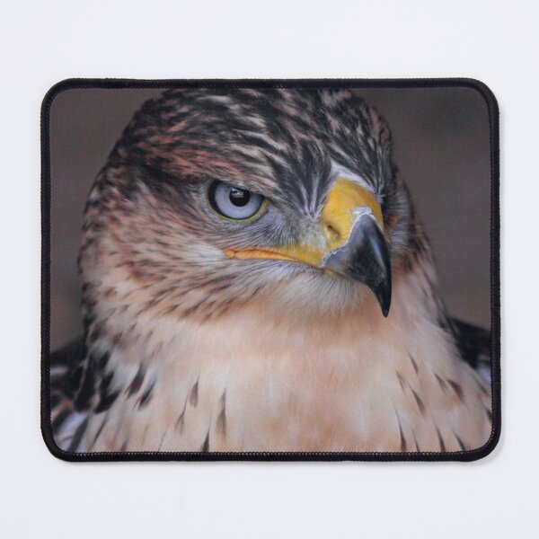 Item preview, Ferruginous Hawk designed and sold by Krys Bailey.