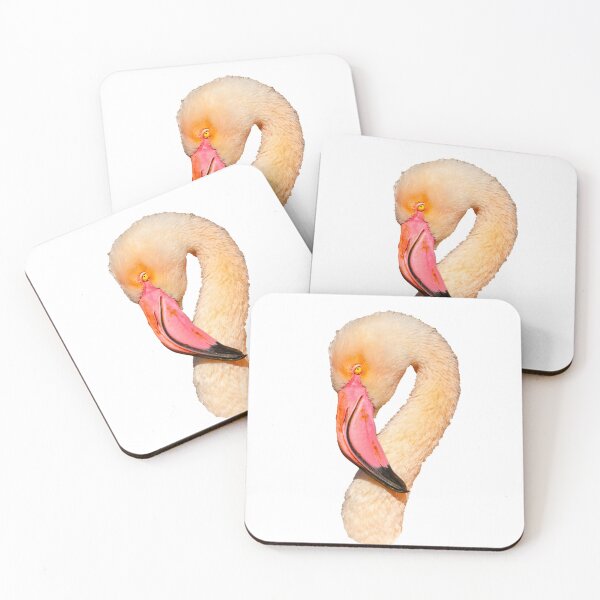 Item preview, Curves of a Greater Flamingo designed and sold by Dalyndigital Photography.