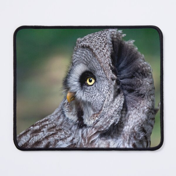 Item preview, Great Grey Owl designed and sold by Krys Bailey.
