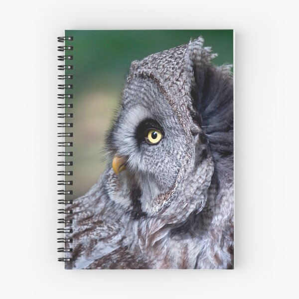 Item preview, Great Grey Owl designed and sold by Krys Bailey.
