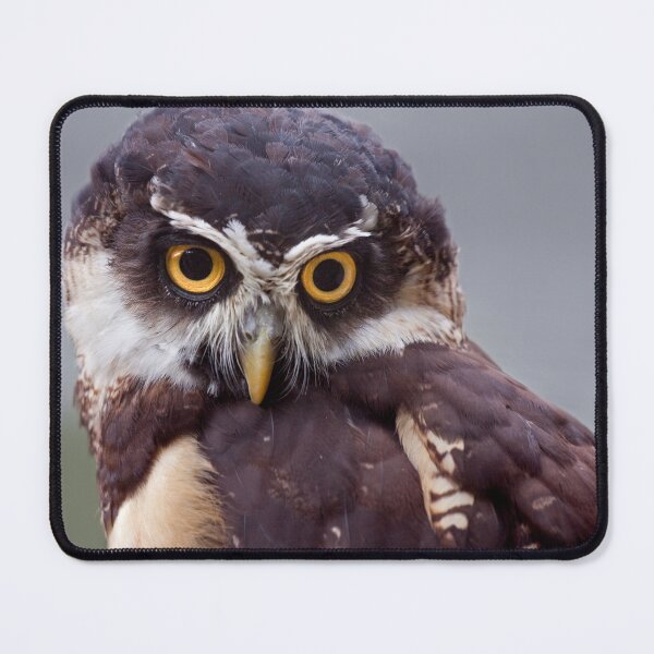 Item preview, Spectacled Owl designed and sold by Krys Bailey.