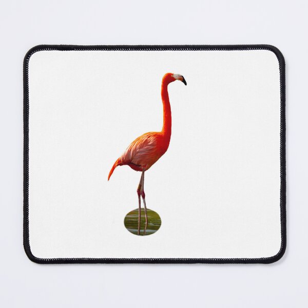 Item preview, Flamingo orange designed and sold by Dalyndigital Photography.