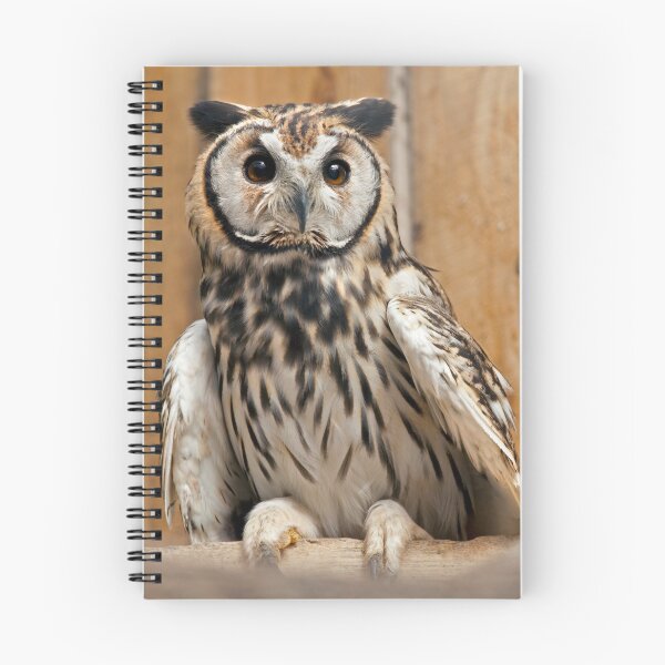 Item preview, Striped Owl designed and sold by Krys Bailey.
