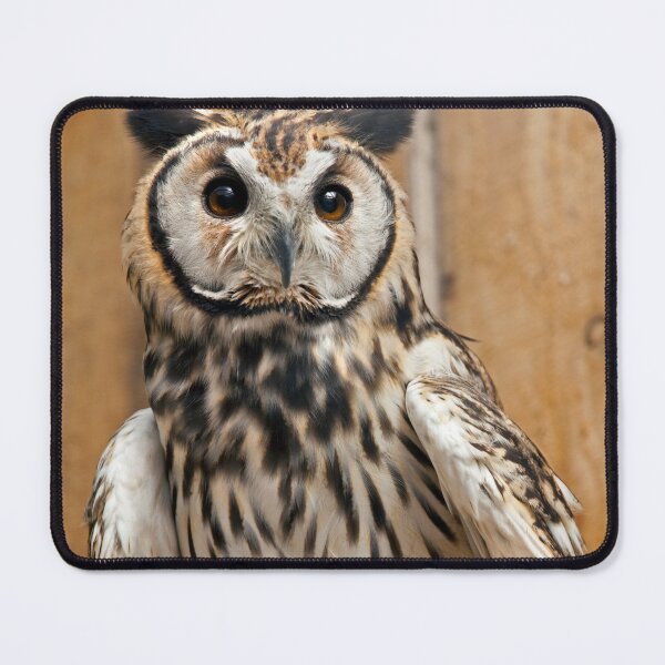 Item preview, Striped Owl designed and sold by Krys Bailey.