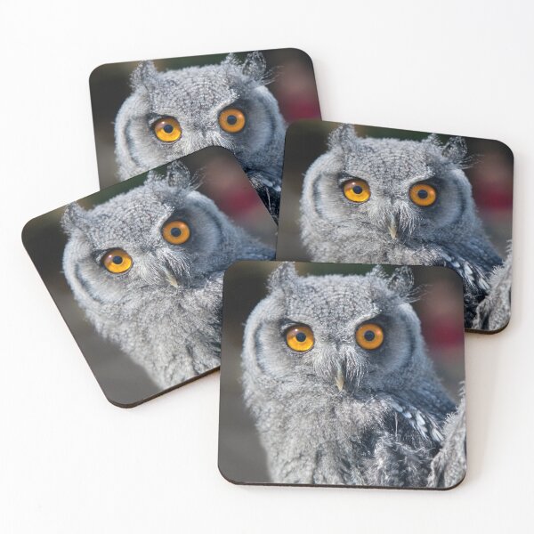 Item preview, White-Faced Scops Owl Fledgling designed and sold by Krys Bailey.