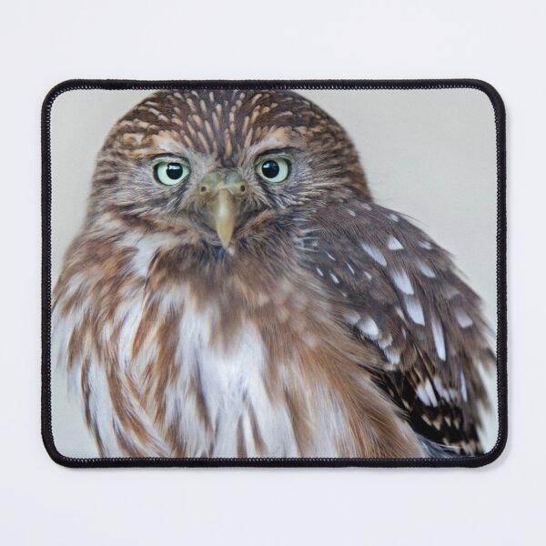 Item preview, Ferruginous Pygmy Owl designed and sold by Krys Bailey.