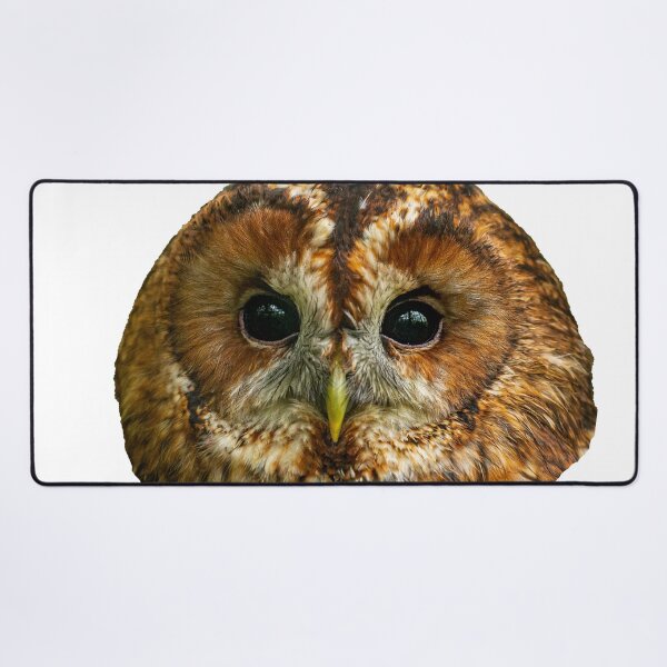 Item preview, Magical Face of a Tawny Owl designed and sold by Dalyndigital Photography.