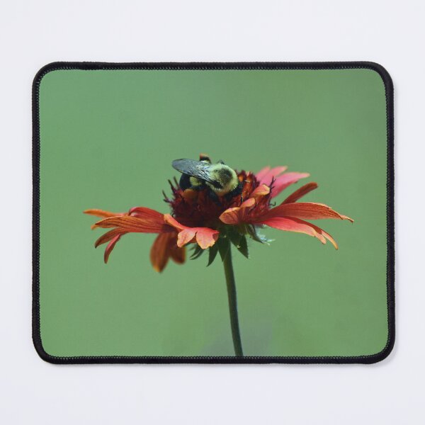 Item preview, Flower with Bee designed and sold by bertsworks300.