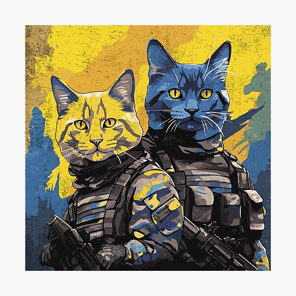 Ukrainian fashion battle kitty painted