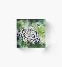 Just Another Butterfly in Kaohsiung, Taiwan Acrylic Block