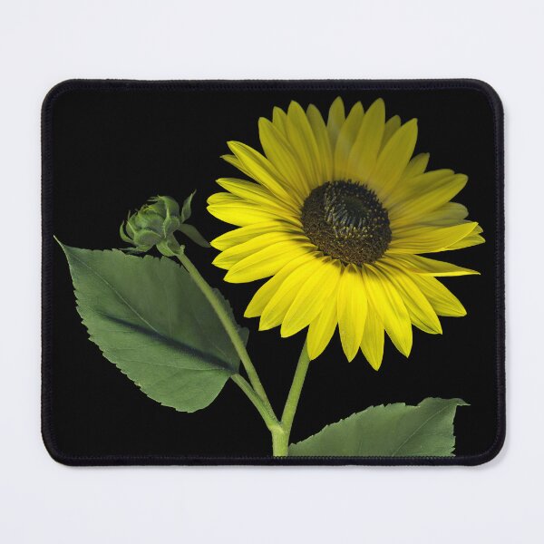 Item preview, Sunflower designed and sold by Lisa Davis.