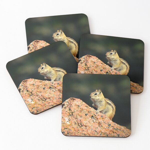 Item preview, Chipmunk designed and sold by Danny Key.