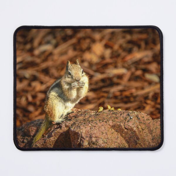 Item preview, Snacks designed and sold by Danny Key.