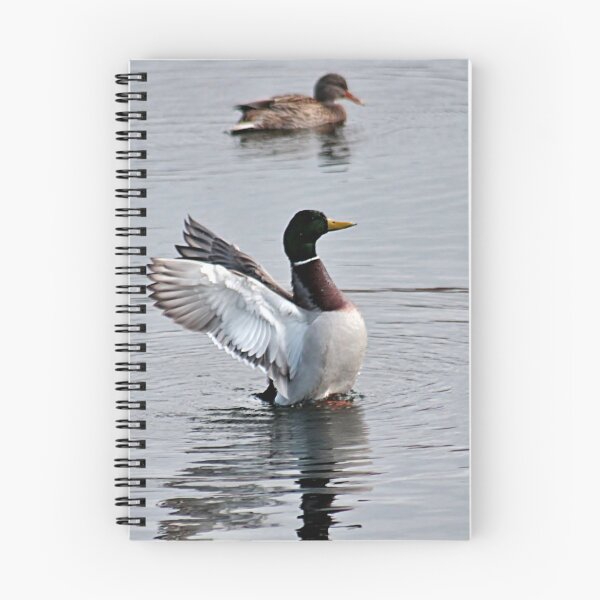 Item preview, Flapping about designed and sold by Linda Crockett.