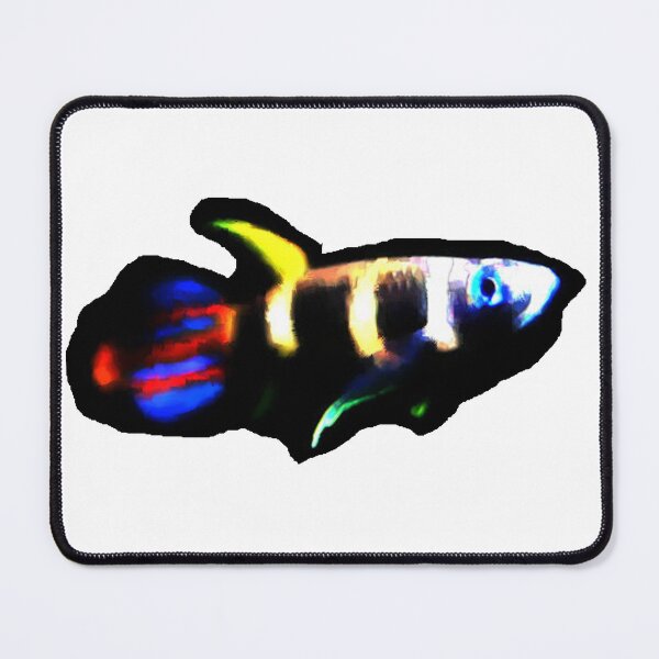 Item preview, Clown Killifish designed and sold by killies.