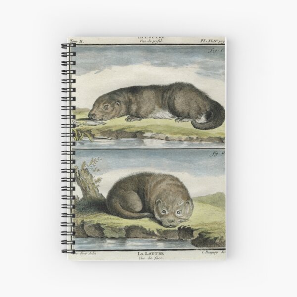 Item preview, Otters drawn in 1780 designed and sold by TerenceKerr.