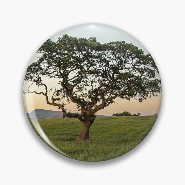 Item preview, Lone Tree and Ingleborough Top designed and sold by Reg-K-Atkinson.