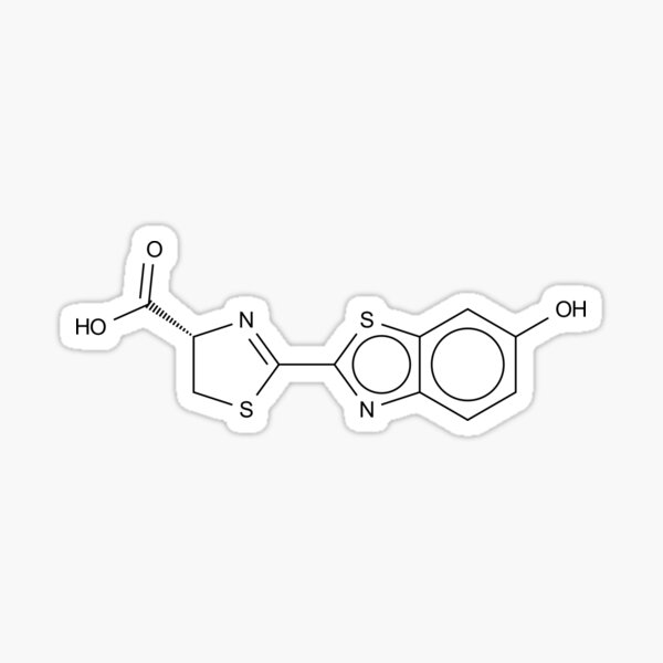 Firefly Luciferin Chemical Molecule Sticker