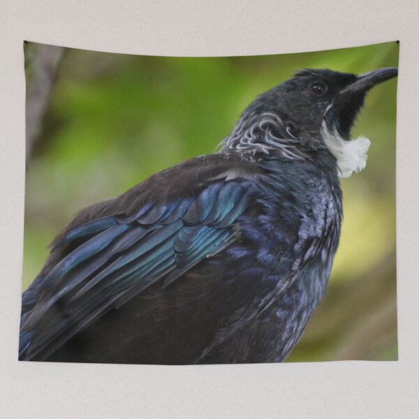 Item preview, Tui in Cornwall Park designed and sold by lizdomett.