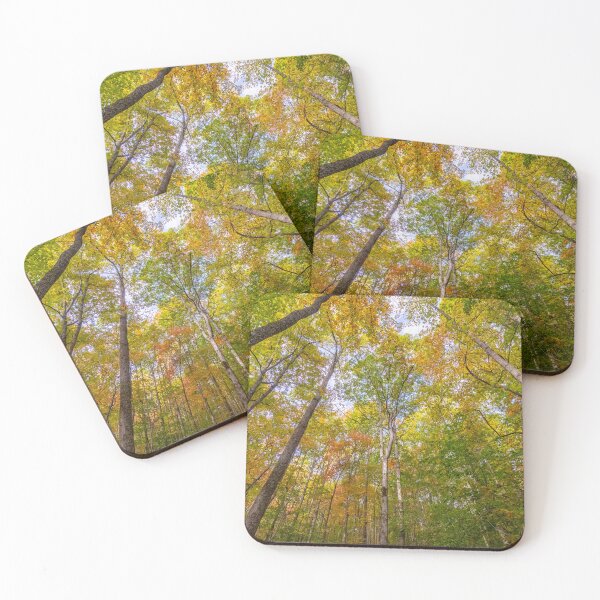 Item preview, Fall Colors Tennessee designed and sold by Kenneth Purdom.