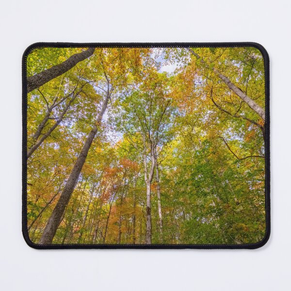 Item preview, Fall Colors Tennessee designed and sold by Kenneth Purdom.
