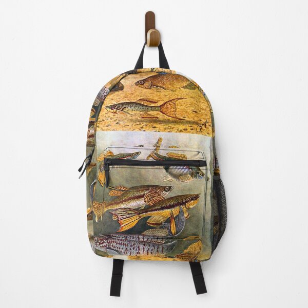Item preview, Bade 1915 Killifish Drawing designed and sold by killies.