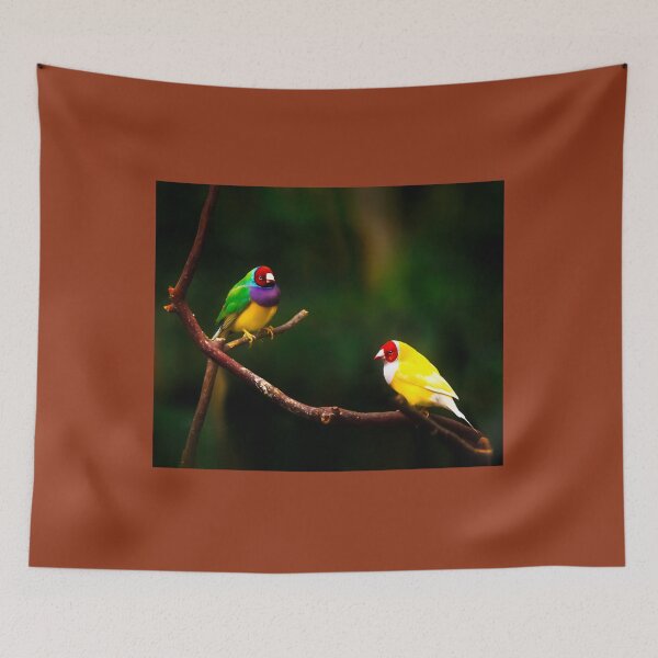 Item preview, Gouldian Rainbow Finches 	 	 designed and sold by pwhanpibhvn72.