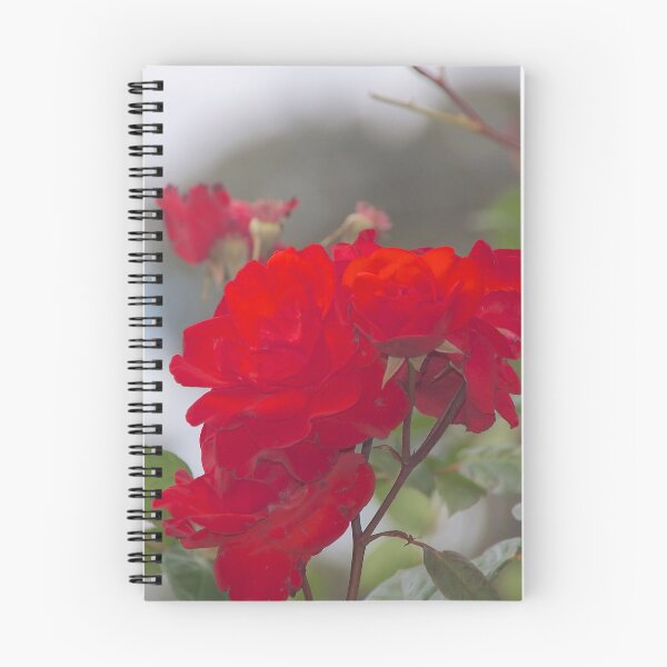 Item preview, Red Rose designed and sold by jane Mcainsh.
