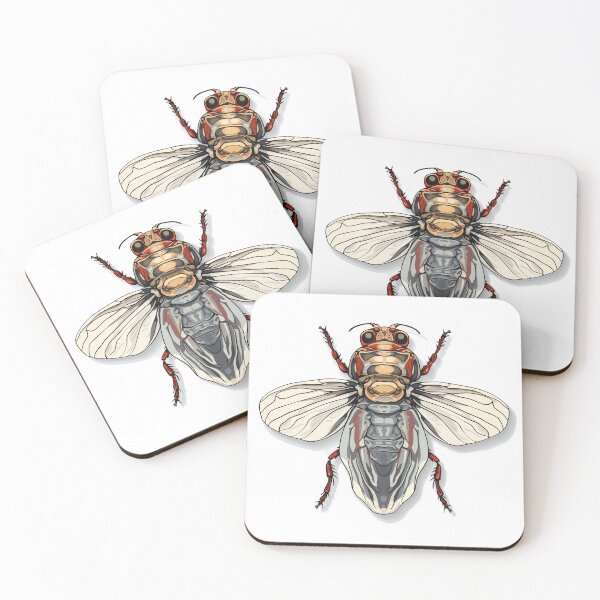 Item preview, Cicada Insect designed and sold by FTS-Studio.