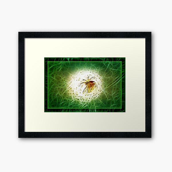 ©BSP Spider Paintography Framed Art Print