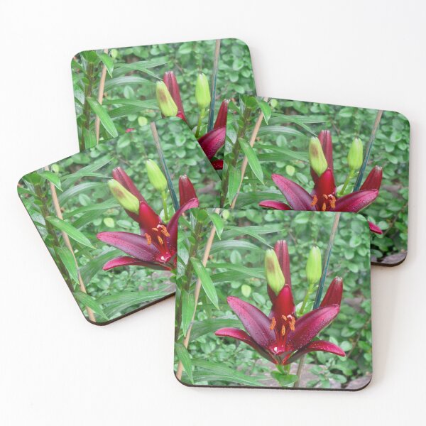 Item preview, Red Lily designed and sold by Shulie1.