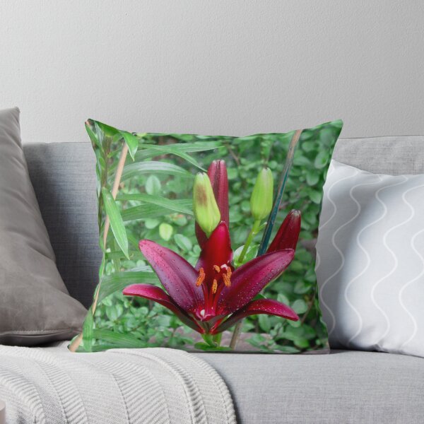 Item preview, Red Lily designed and sold by Shulie1.