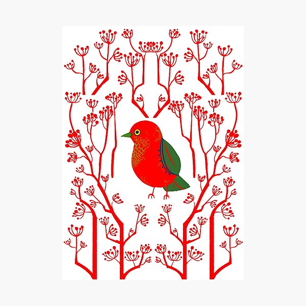 Red Bird Photographic Print