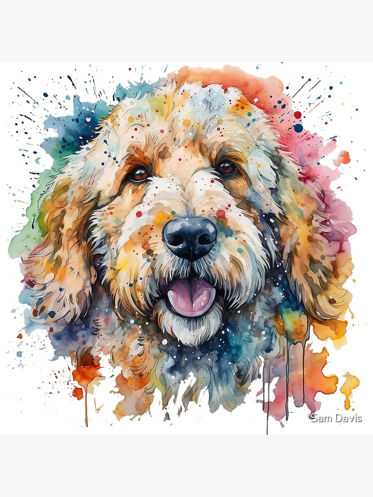 Bright goldendoodle hot sale