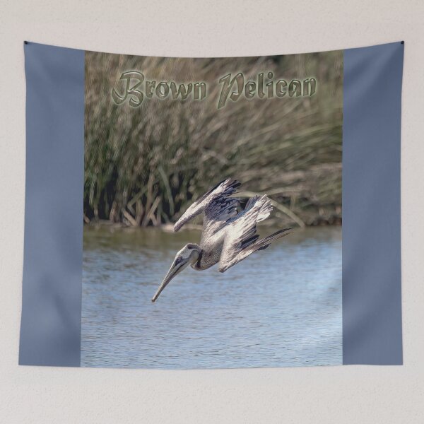 Item preview, Brown Pelican Diving designed and sold by CarolM.