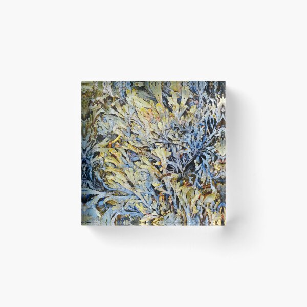 Item preview, Seaweed designed and sold by taylorrowan.