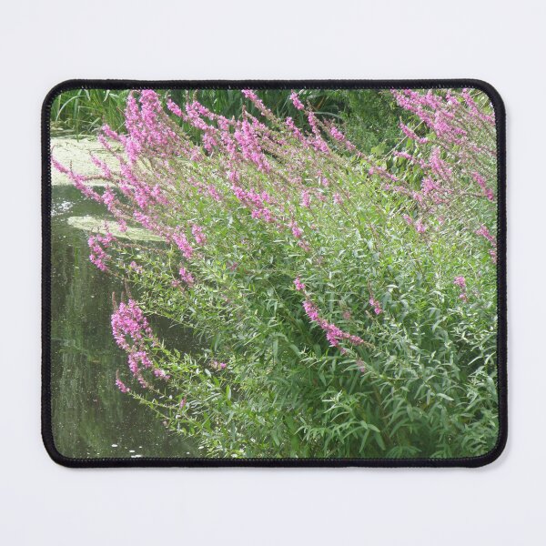 Item preview, Pretty Pink Wildflowers on the Lake Edge Photograph designed and sold by naturegallery.
