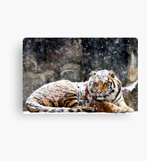 Waking Up Grumpy Canvas Print