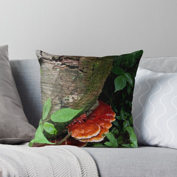 Item preview, Orange Shelf Shroom designed and sold by DyrneSefa.
