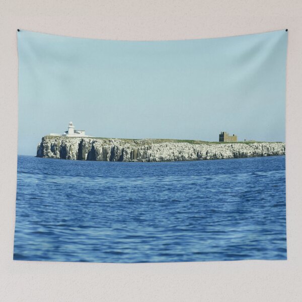 Artikelvorschau, Inner Farne Island mit Leuchtturm entworfen und verkauft von MartinPhotos.