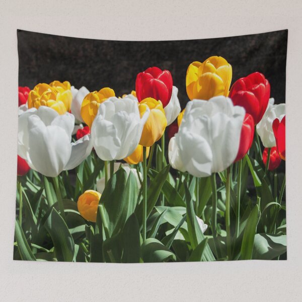 Item preview, Field of Tulips Photography Print designed and sold by griffingphoto.