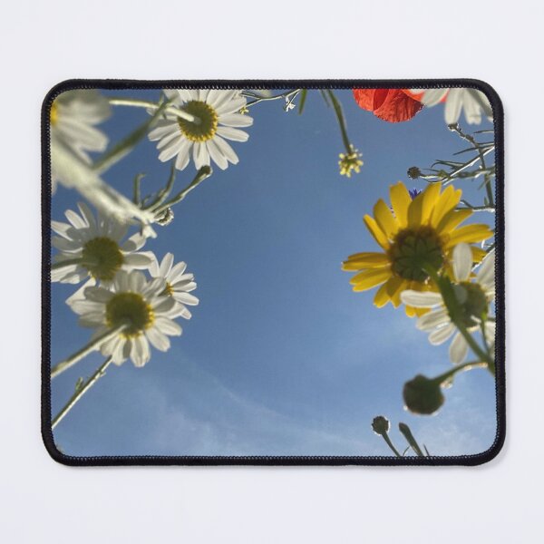 Item preview, Yellow and white Oxeye Daisy wild meadow flowers at Hackney Downs Park designed and sold by NesheYx.