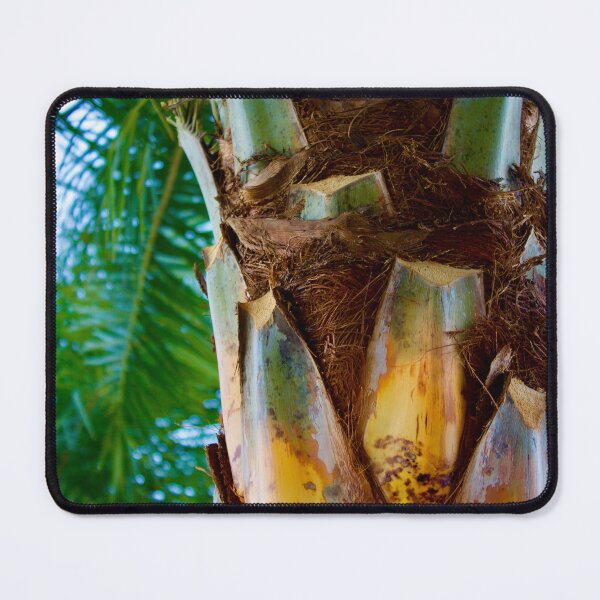 Item preview, Colors of a Palm Tree designed and sold by DyrneSefa.